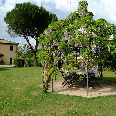 Canto De' Bacci *