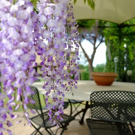 Vendégház Canto De' Bacci