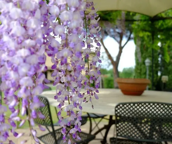 Affittacamere Canto De' Bacci